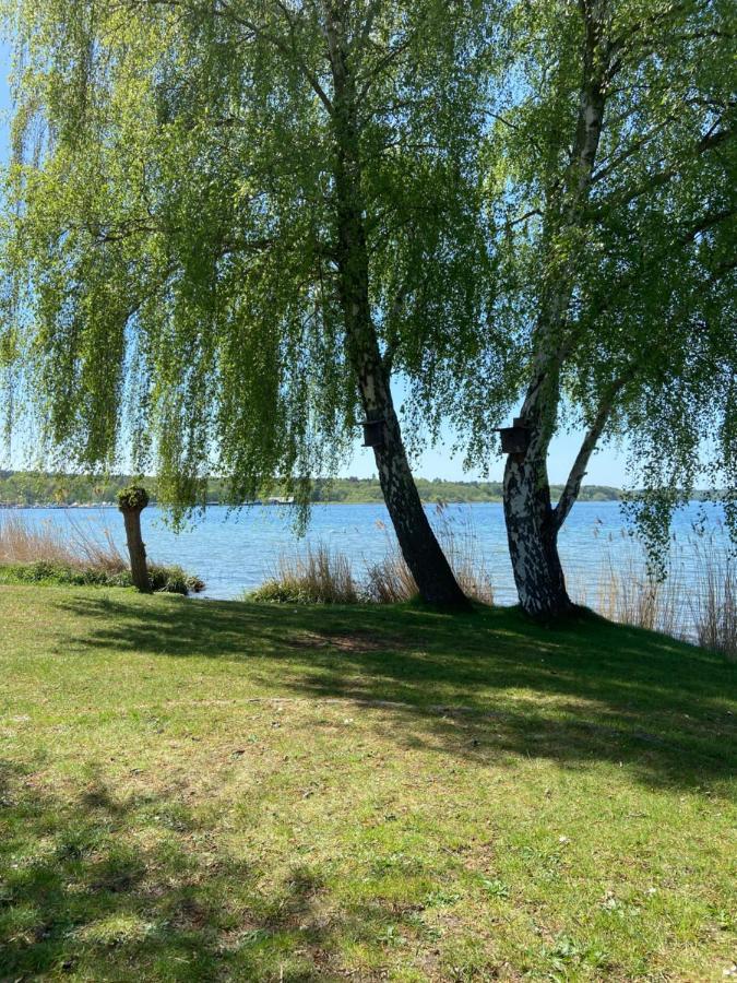 Susi's Seeblick * Waren (Müritz)
